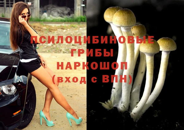 дмт Переславль-Залесский