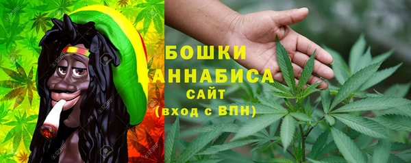 крисы Осташков