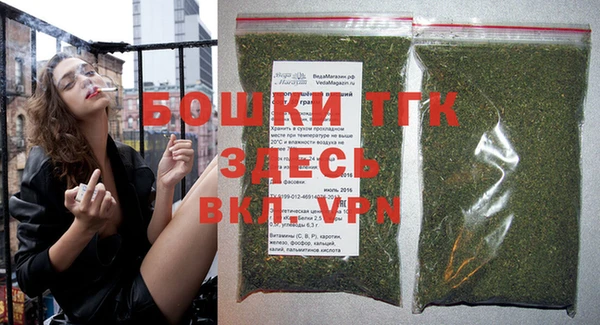 крисы Осташков