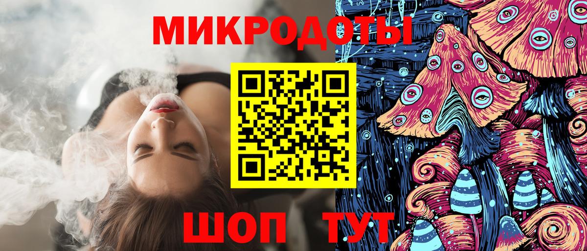 Псилоцибиновые грибы Psilocybe Алексин
