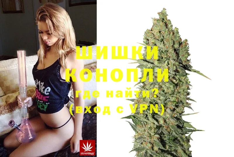 Каннабис OG Kush  Алексин 